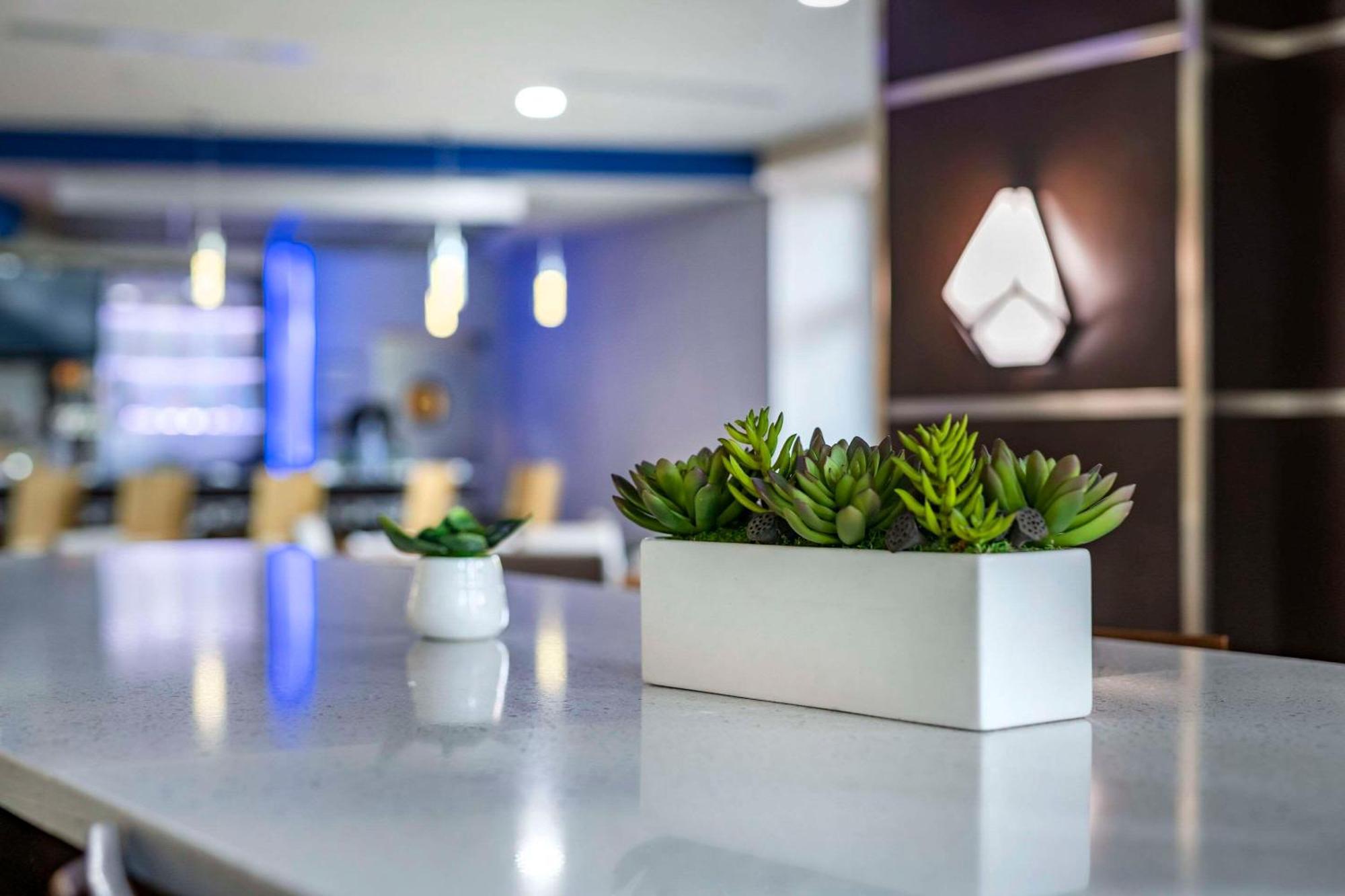 Cambria Hotel Ft Lauderdale, Airport South & Cruise Port Dania Beach Exterior foto